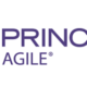Larn how to use Agile tools on your PRINCE2 projectgiel tools i
